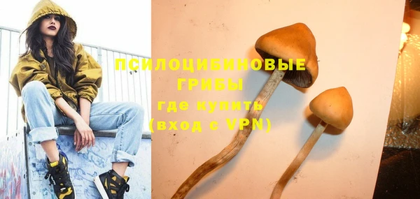 mdpv Верея