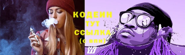 индика Верхний Тагил