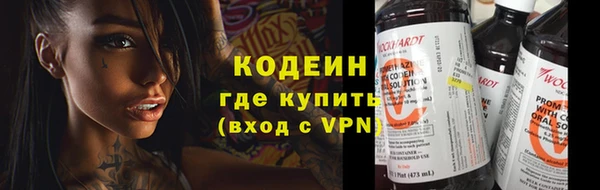 индика Верхний Тагил