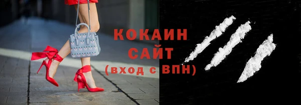 индика Верхний Тагил