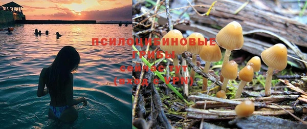 mdpv Верея