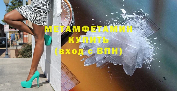 индика Верхний Тагил