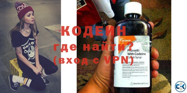 индика Верхний Тагил