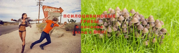 индика Верхний Тагил