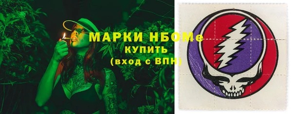 индика Верхний Тагил